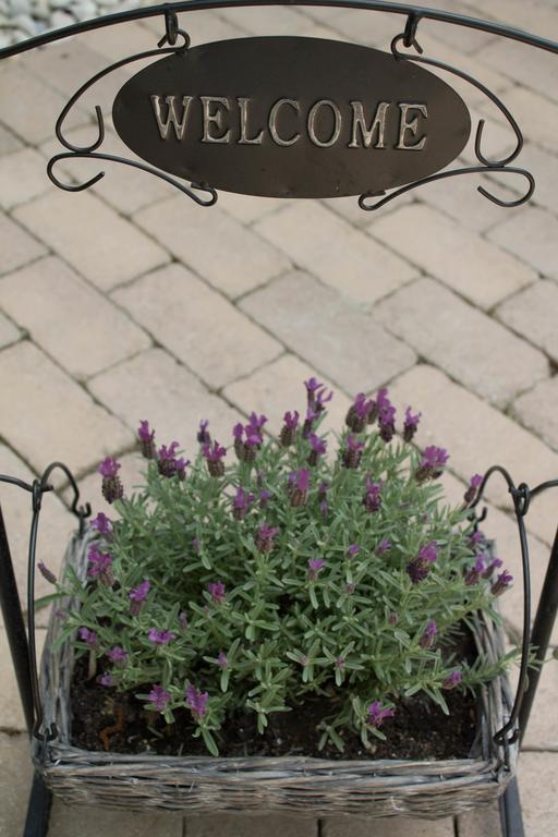 Silver Garden Шіофок Екстер'єр фото
